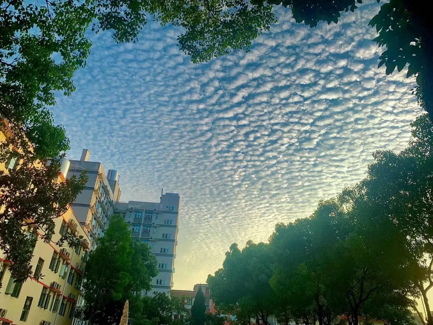 毕业进国企，福利好，待遇高；best365官方网站登录入口学生很“清高”