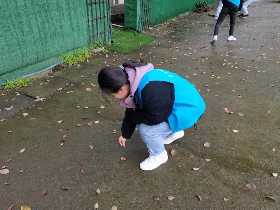 best365官方网站登录入口“雷锋月” 清扫校园志愿活动